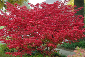 a8ba48cfe33a19725d0cba89287c4956