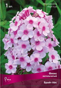 floks_metelch_brait_ais_kaper