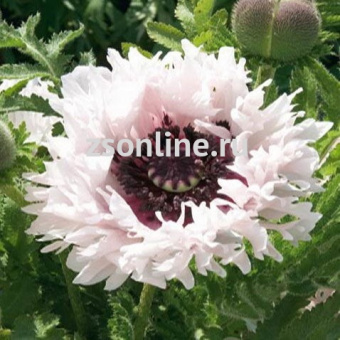 Изображение загружено обработкой по данным файла Excel