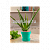 Горшок Mitu verde acqua d18 h16 см, 2,5л зеленый океан
