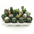 Кактус микс D7см H11см
