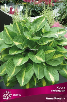 Изображение загружено обработкой по данным файла Excel