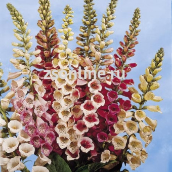 Изображение загружено обработкой по данным файла Excel