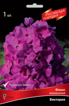 floks_metelch_victoria_kaper