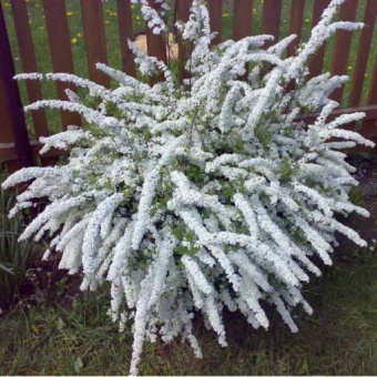 322da9e84a201e8714bb2ce56e17688d40599uok3e5hg25