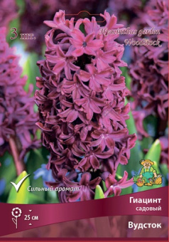 Гиацинт Садовый Вудсток 14-15/К 3шт, 