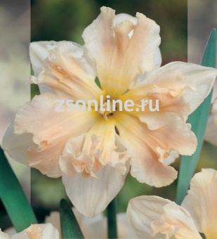 Изображение загружено обработкой по данным файла Excel