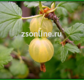 Изображение загружено обработкой по данным файла Excel