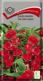 balzamin_tom_samb_skarlet