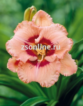 Изображение загружено обработкой по данным файла Excel