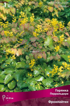 Изображение загружено обработкой по данным файла Excel