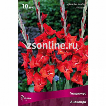 Изображение загружено обработкой по данным файла Excel