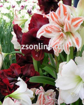 Изображение загружено обработкой по данным файла Excel