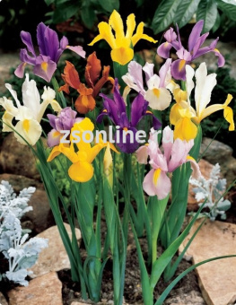 Изображение загружено обработкой по данным файла Excel