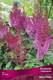 Изображение загружено обработкой по данным файла Excel