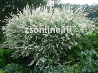 Изображение загружено обработкой по данным файла Excel