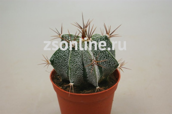 281033cb4c42b10abb2199b4437e3207