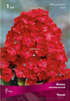 Изображение загружено обработкой по данным файла Excel