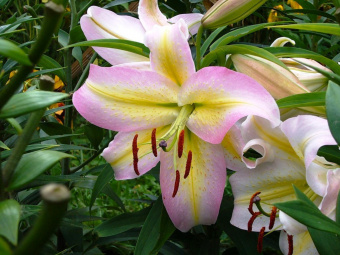 f67dd8ad4b63dcf1f3f6e14a578a2f82