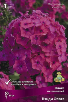 Флокс метельчатый Кенди Флосс (яркий,блестящий,роз.,1шт)