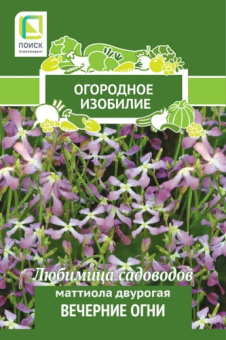 mattiola_dvurogaya_vechernie_ogni_og_izob