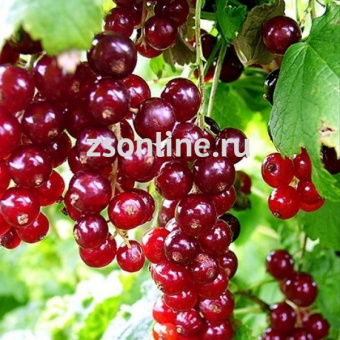 Изображение загружено обработкой по данным файла Excel