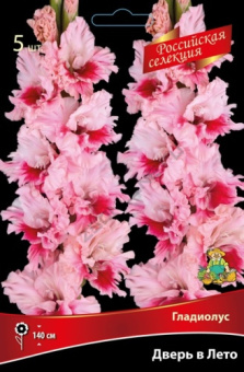 gladiolus_dver_v_leto_kaper