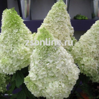 НоменклатураПрисоединенныеФайлы