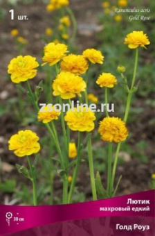 Изображение загружено обработкой по данным файла Excel