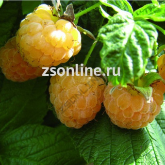 Изображение загружено обработкой по данным файла Excel