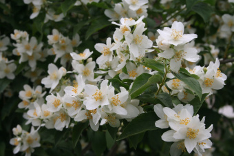 d3d87c3892b71054988a7f1dde56900c