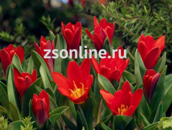 Изображение загружено обработкой по данным файла Excel