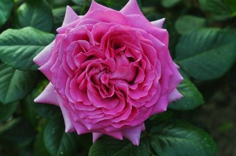 2198e383489f67437f008dcbf60caf6198ba78f5