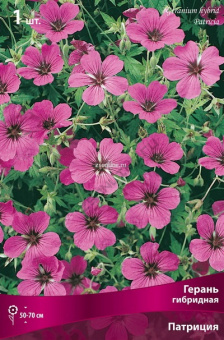 Изображение загружено обработкой по данным файла Excel