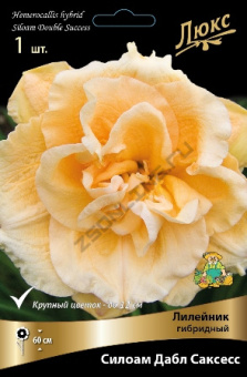 lileinik_gibrid_siloam_dabl_saksess_kaper