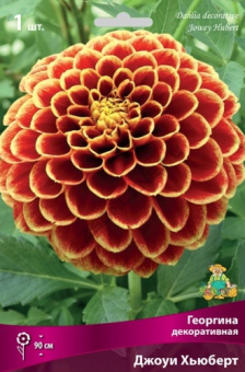 georgina_sharovid_joye_hubert_kaper