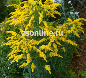 Изображение загружено обработкой по данным файла Excel