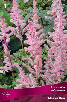 Изображение загружено обработкой по данным файла Excel