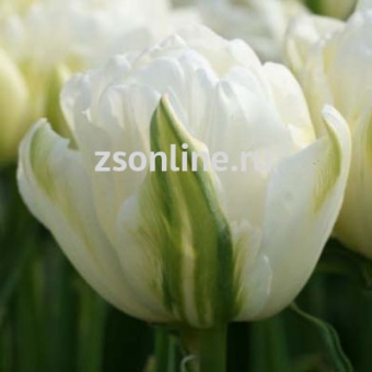 Изображение загружено обработкой по данным файла Excel