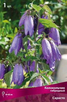 Изображение загружено обработкой по данным файла Excel