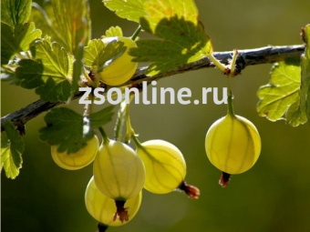 Изображение загружено обработкой по данным файла Excel