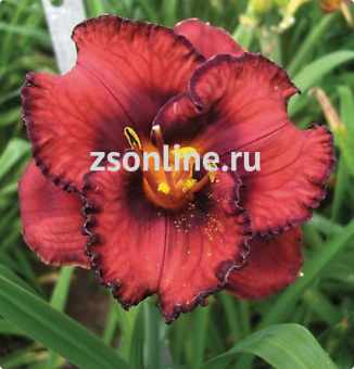 Изображение загружено обработкой по данным файла Excel