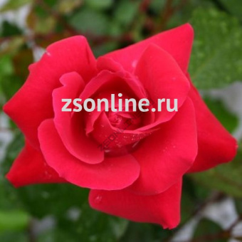 Изображение загружено обработкой по данным файла Excel