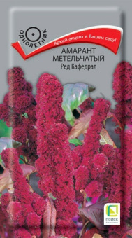 amarant_metelchaty_red_kafedral