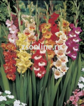 Изображение загружено обработкой по данным файла Excel