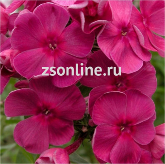 Изображение загружено обработкой по данным файла Excel