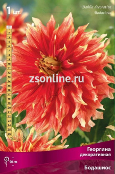 Изображение загружено обработкой по данным файла Excel