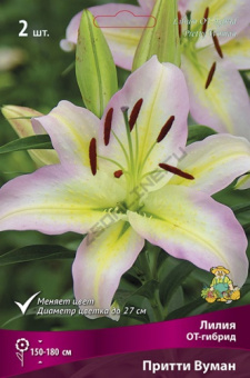 Лилия ОТ-Гибрид Притти Вуман, 2 шт