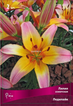 Изображение загружено обработкой по данным файла Excel