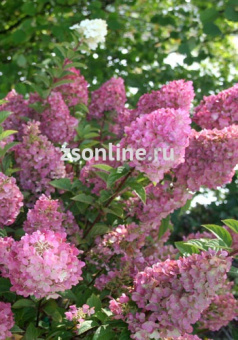 Изображение загружено обработкой по данным файла Excel